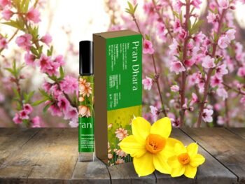 Pran Dhara Roll Oil 8 ml - Pack of 3