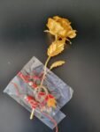 Gulab Ka Joda 1
